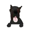 Great Dane 5