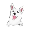 Husky 9