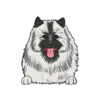 Keeshond 1