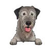 Irish Wolfhound
