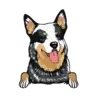 Heeler 1