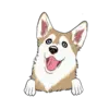 Husky 4