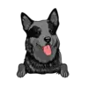 Heeler 2