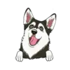 Husky 3