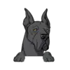 Great Dane 7