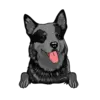 Heeler 2