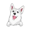 Husky 5