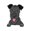 Irish Wolfhound 2