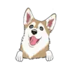 Husky 4