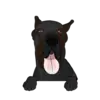 Great Dane 5