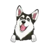 Husky 3
