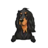 Gorden Setter