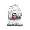 Komondor 1
