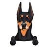 German Pinscher 1