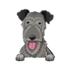 Irish Wolfhound 1