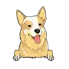 Heeler 3