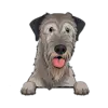 Irish Wolfhound