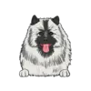 Keeshond 1