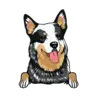 Heeler 1