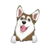 Husky 8