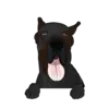 Great Dane 5