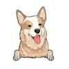 Heeler 4