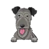 Irish Wolfhound 1