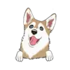 Husky 4