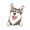 Husky 8