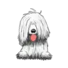 Komondor 1