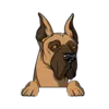 Great Dane 4