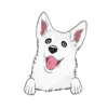 Husky 9