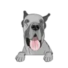 Great Dane 2