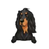 Gorden Setter