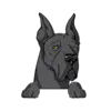 Great Dane 7