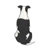 American Bulldog 3