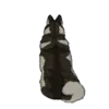 Alaskan Malamute 2