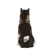 Akita Inu 4