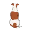 American Bulldog 4