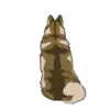 Alaskan Malamute 1