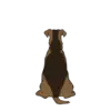 Airedale Terrier 2