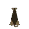 Airedale Terrier 1