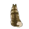 Alaskan Malamute 1