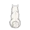 American Eskimo