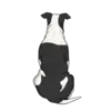 American Bulldog 3
