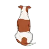 American Bulldog 4