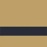 Br. Gold w/ Black Letters - 734