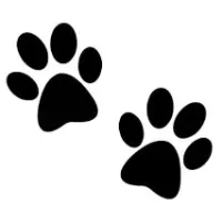 Paws